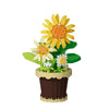 Mini Succulent Flower Pot